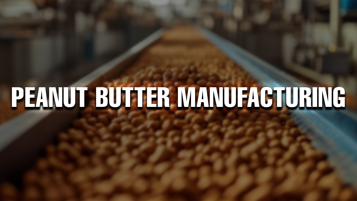Peanuts on a conveyor belt in a peanut butter manufacturing facility.