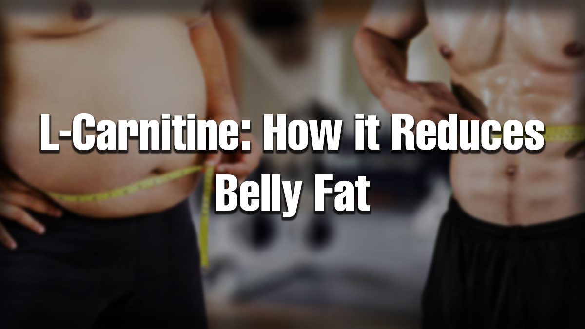 Side-by-side comparison of a man with belly fat and a fit man with abs, both holding measuring tapes, representing L-Carnitine’s role in reducing belly fat.