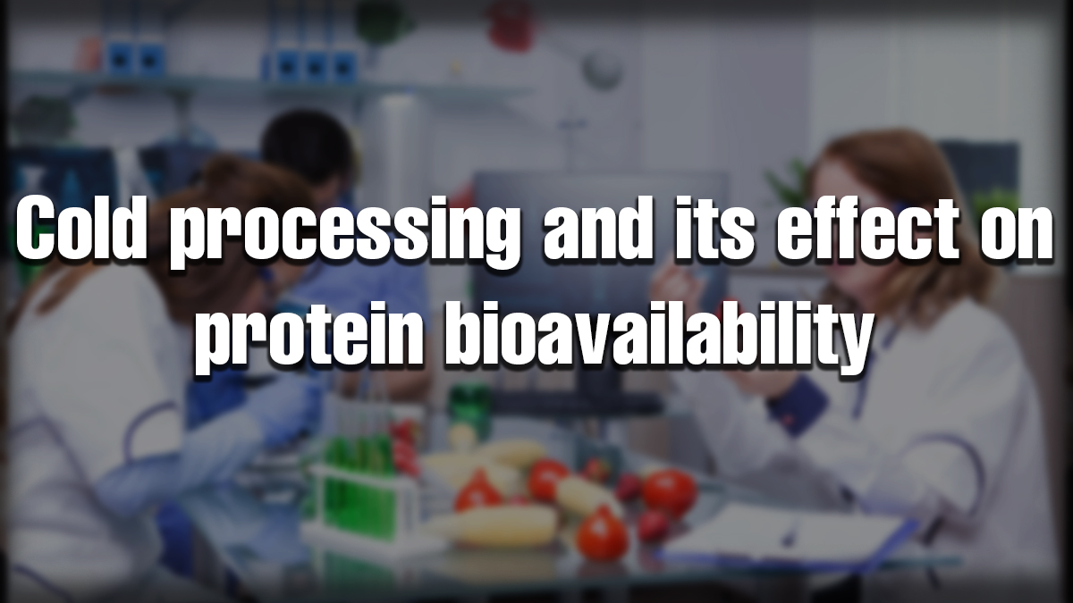 Scientists in a lab testing nutrients to study cold processed protein bioavailability and its impact on protein quality.